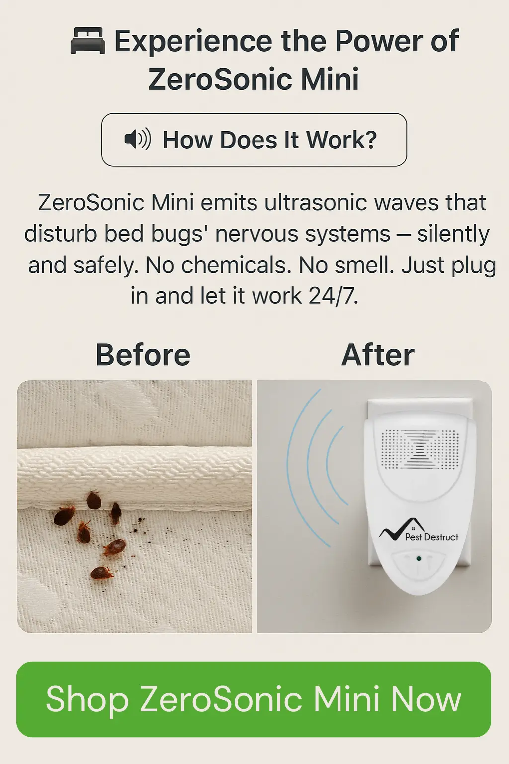 Bed Bug Problem Image